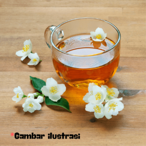 Gambar ilustrasi jasmine tea